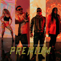 Thumbnail for the Burai - PREMIUM link, provided by host site