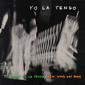 Thumbnail for the Yo La Tengo - President Yo La Tengo/New Wave Hot Dogs link, provided by host site