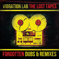 Thumbnail for the Ziggi Recado - Pretender (Vibration Lab Remix) link, provided by host site