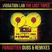 Thumbnail for the Ziggi Recado - Pretender (Vibration Lab Remix) link, provided by host site