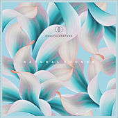 Thumbnail for the Mvnners - Pretty Things link, provided by host site