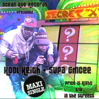 Thumbnail for the Kool Keith - Price Is Right B / W in the Streets link, provided by host site