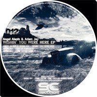 Thumbnail for the Adam Jay - Price of Progress - Original Mix link, provided by host site