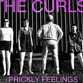 Thumbnail for the The Curls - Prickly Feelings link, provided by host site