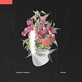 Image of Adrian Daniel linking to their artist page due to link from them being at the top of the main table on this page