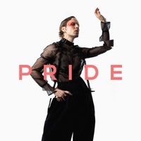 Thumbnail for the Felix Jaehn - PRIDE link, provided by host site