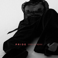 Thumbnail for the Felix Jaehn - PRIDE (SPED UP REMIX) link, provided by host site