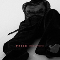 Thumbnail for the Felix Jaehn - PRIDE (SPED UP REMIX) link, provided by host site