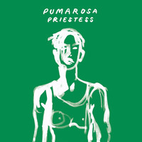 Thumbnail for the Pumarosa - Priestess (Shura Remix) link, provided by host site