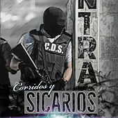 Thumbnail for the Gabriel Silva - Prietos Chinos Y Ondeados link, provided by host site
