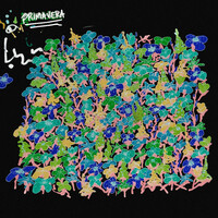 Thumbnail for the Chroma - Primavera link, provided by host site