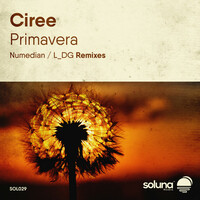 Thumbnail for the Ciree - Primavera link, provided by host site