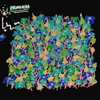 Thumbnail for the Chroma - Primavera link, provided by host site