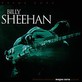 Image of Billy Sheehan linking to their artist page due to link from them being at the top of the main table on this page