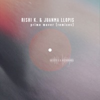 Thumbnail for the Rishi K. - Prime Mover (Remixes) link, provided by host site