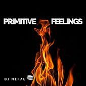 Thumbnail for the DJ Néral - Primitive Feelings link, provided by host site
