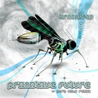 Thumbnail for the Braindrop - Primitive Future link, provided by host site