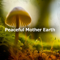 Thumbnail for the Sounds Of Nature - Primitive Rushing link, provided by host site