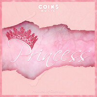 Thumbnail for the COIN - Princess link, provided by host site