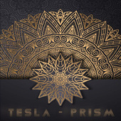 Thumbnail for the Tesla - Prism link, provided by host site