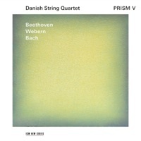 Thumbnail for the Danish String Quartet - Prism V link, provided by host site