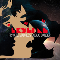 Thumbnail for the Skyline - Private Madness Public Danger link, provided by host site