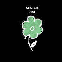 Image of Slater linking to their artist page due to link from them being at the top of the main table on this page