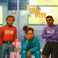 Thumbnail for the Diva - PrO MiSe link, provided by host site