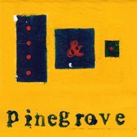 Thumbnail for the Pinegrove - Problems link, provided by host site