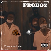 Thumbnail for the Tipsy - Probox link, provided by host site