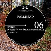Thumbnail for the Fallhead - Process link, provided by host site
