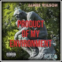 Thumbnail for the James Wilson - Product Of My Environment link, provided by host site