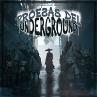 Thumbnail for the Various Artists - Proezas del Underground link, provided by host site