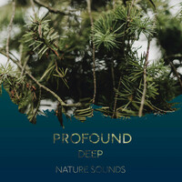 Thumbnail for the Rest & Relax Nature Sounds Artists - Profound Deep Nature Sounds link, provided by host site