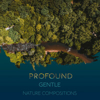 Thumbnail for the White Noise Nature Sounds Baby Sleep - Profound Gentle Nature Compositions link, provided by host site