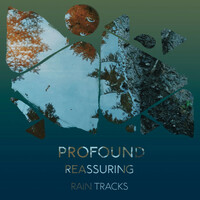 Thumbnail for the Calming Sounds - Profound Reassuring Rain Tracks link, provided by host site