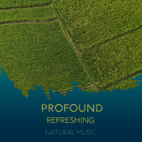 Thumbnail for the Rest & Relax Nature Sounds Artists - Profound Refreshing Natural Music link, provided by host site
