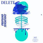 Thumbnail for the Delete - Profound Sensations link, provided by host site
