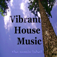 Thumbnail for the Ketaneo - Progside Dub - Vibrant Proghouse Mix link, provided by host site