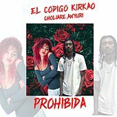Thumbnail for the El Codigo Kirkao - Prohibida link, provided by host site