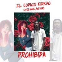 Thumbnail for the El Codigo Kirkao - Prohibida link, provided by host site