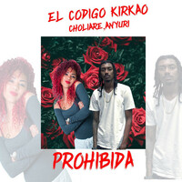 Thumbnail for the El Codigo Kirkao - Prohibida link, provided by host site