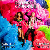 Thumbnail for the Daniela Mercury - Proibido o Carnaval link, provided by host site