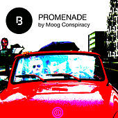 Thumbnail for the Moog Conspiracy - Promenade link, provided by host site
