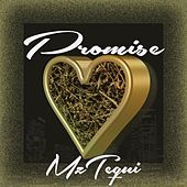 Thumbnail for the Mztequi - Promise link, provided by host site
