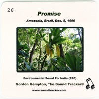 Thumbnail for the Gordon Hempton - Promise link, provided by host site