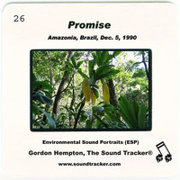 Thumbnail for the Gordon Hempton - Promise link, provided by host site
