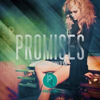 Thumbnail for the Paul Dluxx - Promises link, provided by host site
