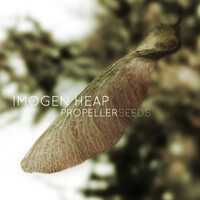 Thumbnail for the Imogen Heap - Propeller Seeds link, provided by host site