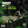 Thumbnail for the Jae Millz - Property of Potentness link, provided by host site
